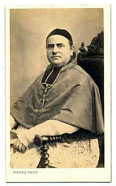 Cardinal Pie 2